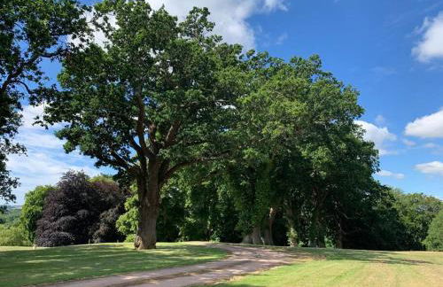 The Carriage House - Foto 41