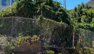 Tantulia la casita del Caballo - Foto 2