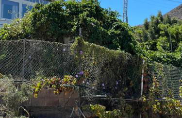 Tantulia la casita del Caballo - Foto 2