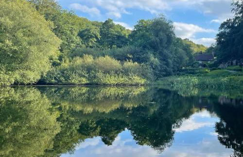 Rural Retreat near Dorking - Foto 28