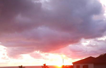 Lazy Lizard by the Ocean - Foto 26