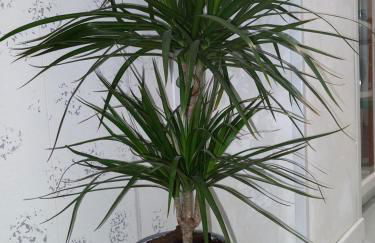 La Casa di Gio ed Eli - Foto 66