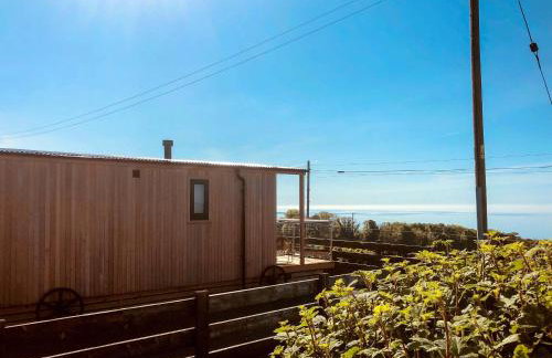 Little Oak - Uk5996 - Foto 15