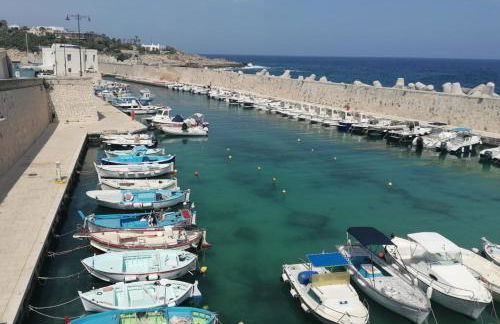 Villa Aimone - Foto 34