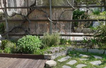 La casa nel verde - Foto 13