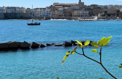 Terrazza Idrusa - Foto 18