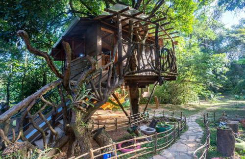 Casa da Árvore - Foto 46