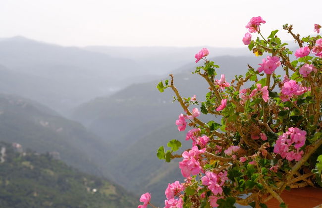 Hotel Wakim - Self Catering - Foto 41