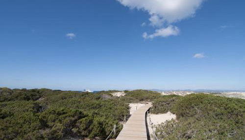 Apartamentos Catalina - Foto 3