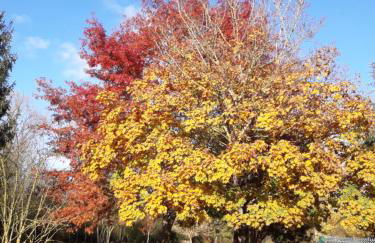 Logis de LANGE apt les Ecureuils - Foto 66
