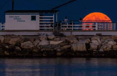 Villa Lida Apartment, in collina con ampio terrazzo e vista mare - Foto 31