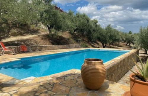 Haus mit Pool im Olivenhain - Foto 10