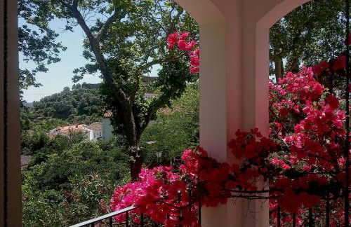 Apartamento Rural Las Palmeras - Foto 12