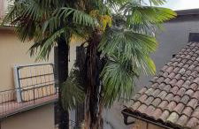 Anna's Home ☆ - Foto 5