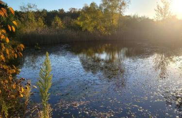 Country Cottage - Foto 10