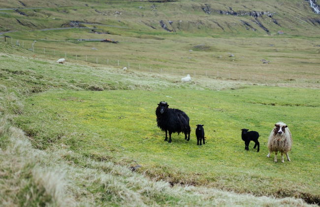 Charming 3 Bedroom House In A Peaceful Village - Foto 15