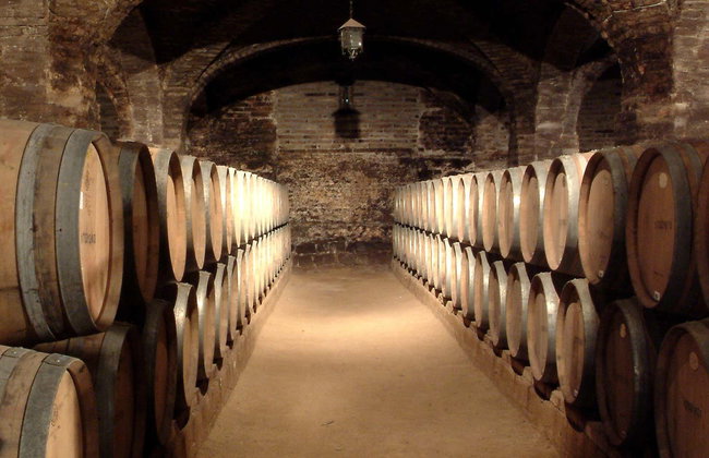 Visita a las bodegas de Santa Rita - Foto 1