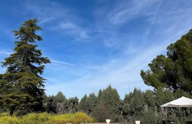 Casa Galiana. - Foto 71