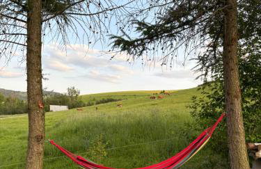 Tam Gdzie Rosną Poziomki - Foto 43