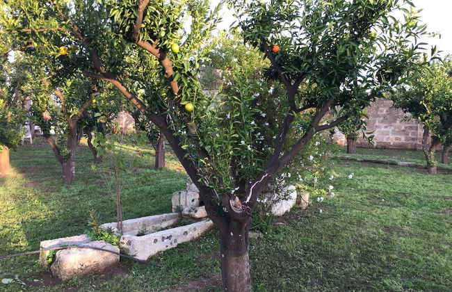 Agriturismo Arangea - Foto 43