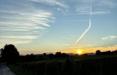 Ferienwohnung in der Südpfalz - Foto 21