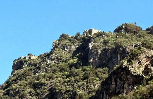 homonatura petrinum - Foto 33