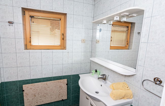 Apartments and wellness center Korošec - Foto 56