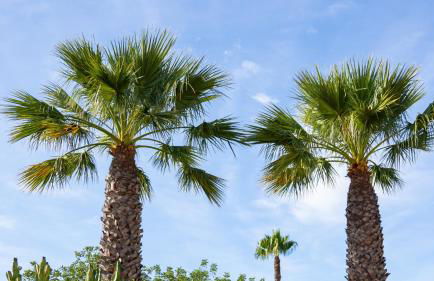 Bright 3 BDR Duplex House With Pool by LovelyStay - Foto 44