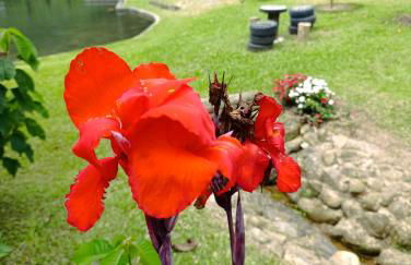 Refúgio Atlântico - Foto 64