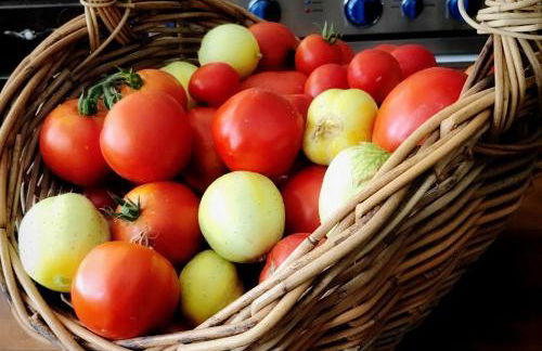 DunMovin’ Oregon - Foto 14