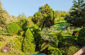 Green Home - Foto 10