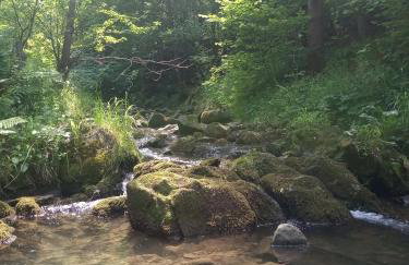 Dom w górach Przy szlaku - Foto 77