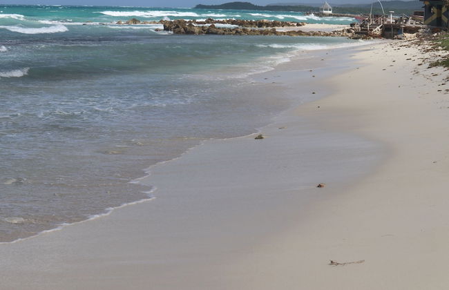 Beach Palm Villa - Photo 53