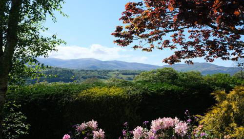 Ty Farm Retreat - Farmhouse Studio - Mountain View - Foto 3