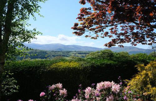 Ty Farm Retreat - Farmhouse Studio - Mountain View - Foto 3