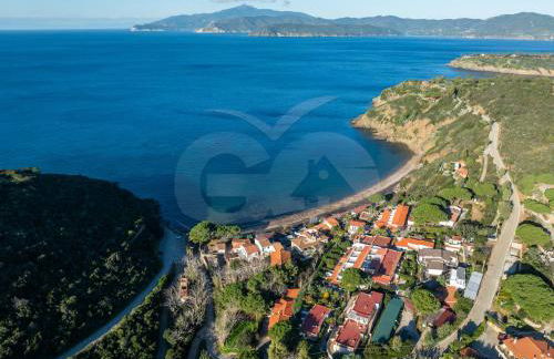 A Due Passi dal Mare - Goelba - Foto 1