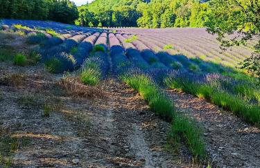 Domaine Provençal "Le Timon" - Foto 30