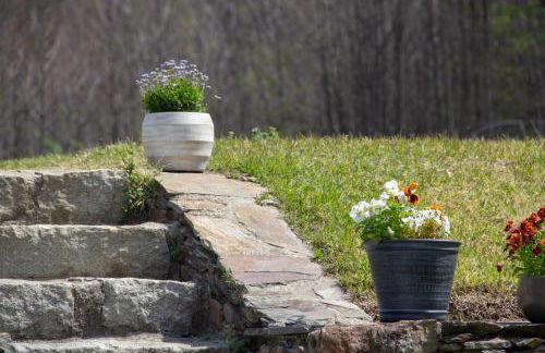 Solar da Castanha - Forest House - Foto 47