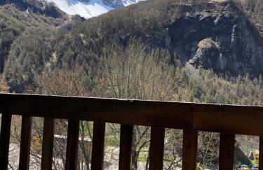 Les Enfetchores - apartment overlooking la Meije - Photo 47