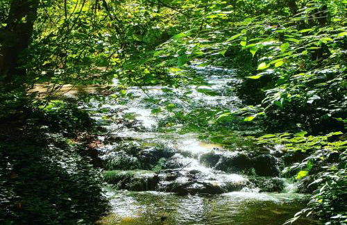 Villa Castro - Photo 60