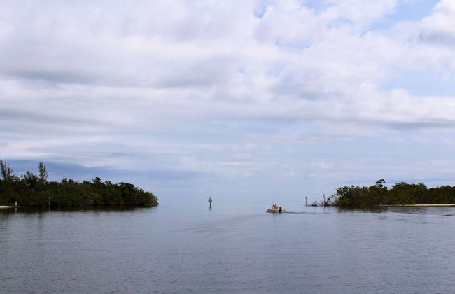 16316 Tortuga - Photo 21