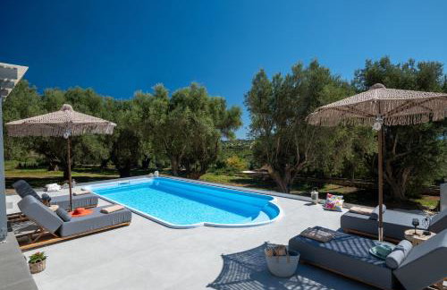 Tree of Life - Foto 9