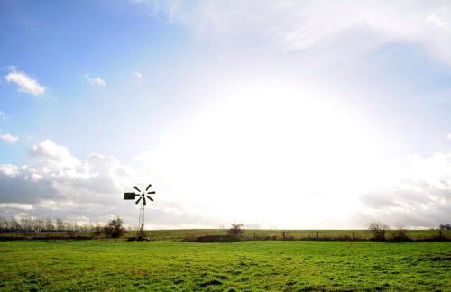 Emilias Hüs, Reethaus in der Bucht von Wismar - Photo 37