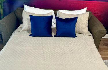 Miami Vice - 1BR-NRG-Medical Center-Galleria - Foto 28