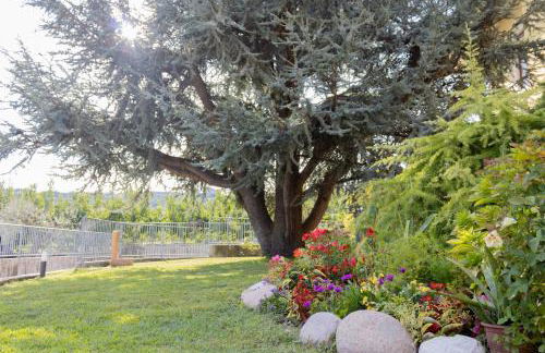 Agriturismo Pino Argentato - Foto 30