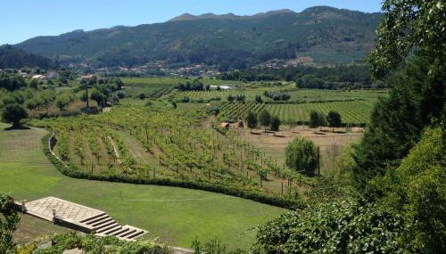 Swimming Pool Bedroom at Casa dos Macieis, Camino Santiago direct access & Optional Agritourism - Foto 5, Garden view
