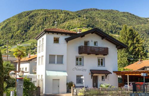 Apartment Haus Lang - Foto 46