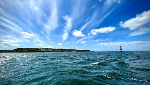 Tractor Shed, seaside cosy cottage for 4 - Foto 5