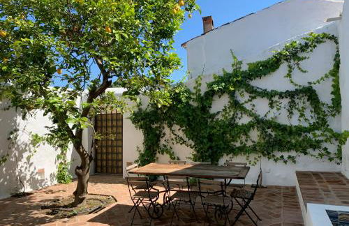 Casa do Xão 2 - Foto 38