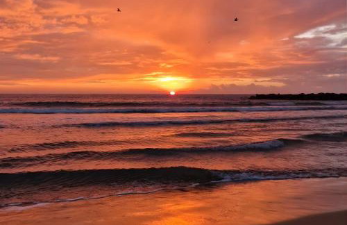 Sable & Pampas - Meublé de Tourisme 5 étoiles - Vue Panoramique & Terrasse - Climatisation - Plage à 200m - Foto 46
